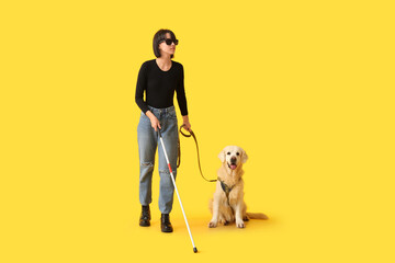 Blind woman with guide dog on yellow background