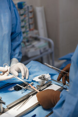surgeons work on the cut part of the knee joint (muscular ligament) before implanting it back into...