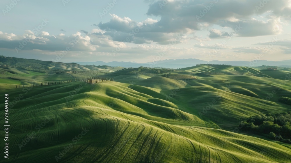 Poster scenic view of green hills with trees. suitable for nature or travel concepts