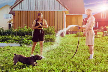 Playful dog grabs splashes of water from garden hose with its mouth during an evening walk in courtyard of country house with young European man and woman.