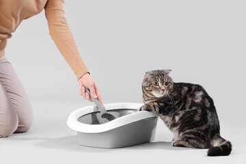 Owner cleaning cat litter box on grey background