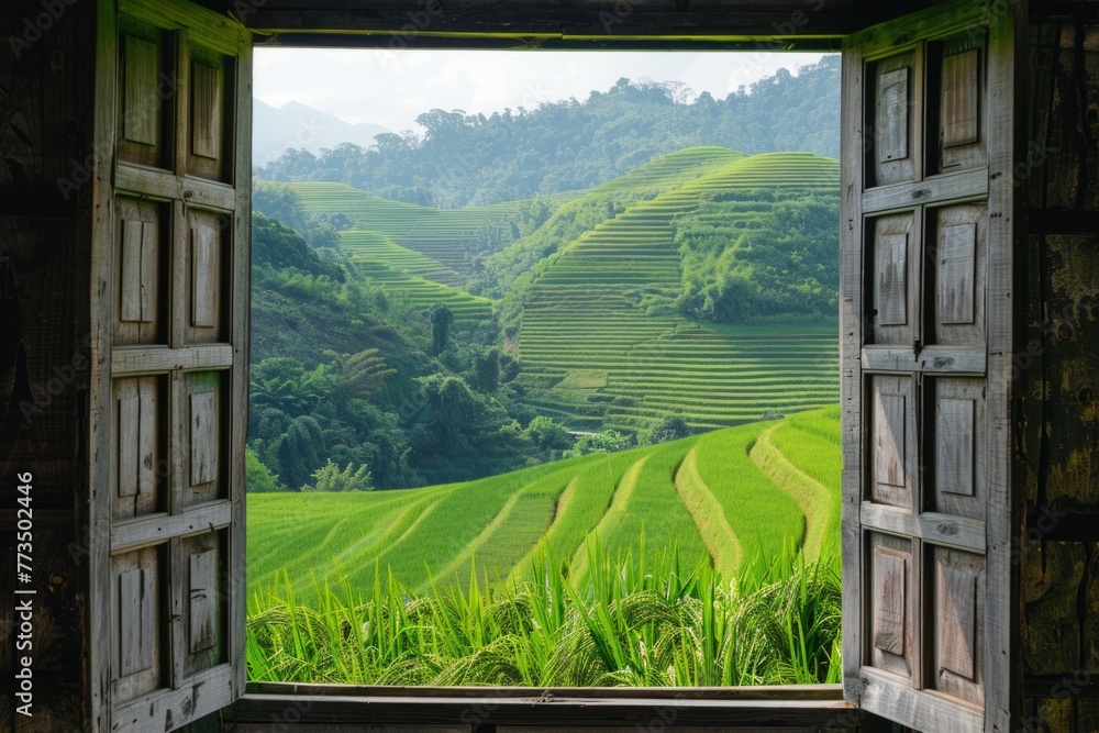 Leinwandbilder a serene view of a rice field through an open window. perfect for agricultural concepts