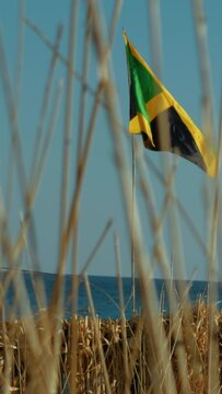 Waving Jamaica Flag Over The Plants On The Beach