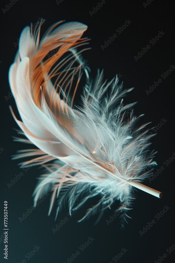 Poster a detailed view of a feather on a dark backdrop. perfect for artistic projects