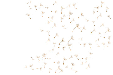 Dandelion Logo, Vector Plant Dandelion flower, Design Icon Template