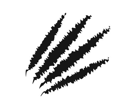 Scratch claw marks. Bear, wolf, toger or panther, dragon, monster or werewolf talons trace isolated on white background. Scary torn scars. Wild animal scratches track. Vector graphic illustraton.