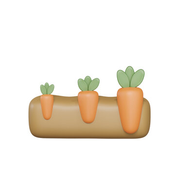 Growing Carrot
