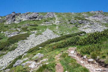 Fototapeta na wymiar Summer landscape of Rila Mountain near Malyovitsa peak, Bulgaria