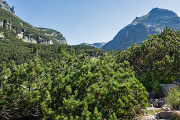 Fototapeta na wymiar Summer landscape of Rila Mountain near Malyovitsa peak, Bulgaria