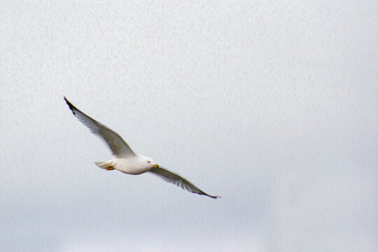 Seagull Peacefully Flying in the White Sky - Room for Text - (filtered photo) with Texture