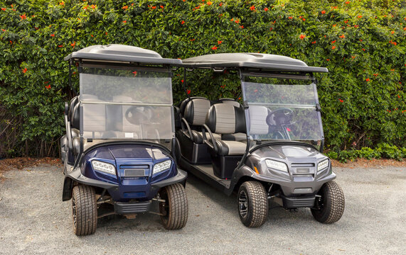 Two Golf Carts, Sporting Cars Outdoor. Moto Electric Vehicles, Flowers, Green Bushes on Background. Transportation. Horizontal Plane.