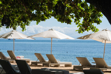 Beach beds with umbrellas, on the ocean coastline, on the hotel grounds among greenery.