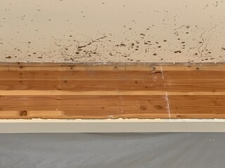 Wooden beam with mold 