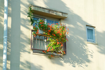 Window with flowers