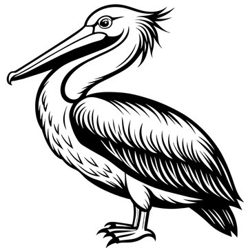 recommend clip art: pelican silhouette vector art illustration