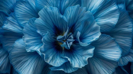 Foto op Plexiglas The blue carnation pictured above reveals its intricate details. Highlight subtle features The image therefore depicts the flowers in beautiful detail. Capture vivid colors and delicate textures wit © Saowanee