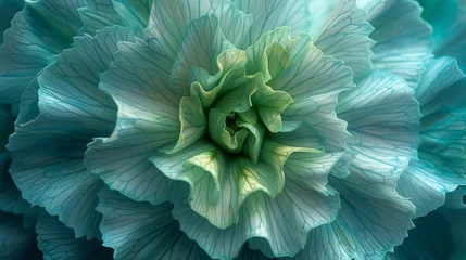 Foto op Canvas The green carnation pictured above reveals its intricate details. Highlight subtle features The image therefore depicts the flowers in beautiful detail. Capture vivid colors and delicate textures wit © Saowanee