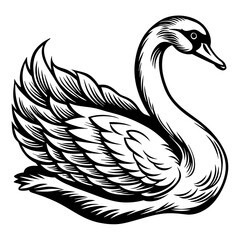  swan silhouette vector art illustration