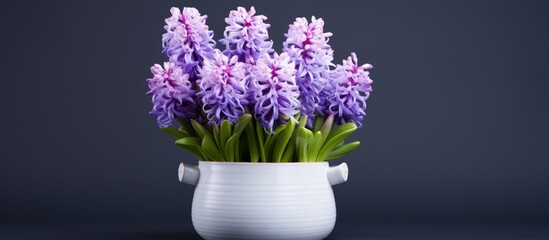 Bouquet of vibrant purple hyacinth flowers displayed in an elegant white vase against a dark backdrop