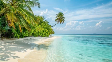 Crédence de cuisine en verre imprimé Bora Bora, Polynésie française A Maldives island beach epitomizes tropical luxury with its white sand and palm trees, serving as a dream vacation destination
