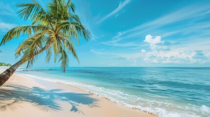 Fototapeta na wymiar An idyllic tropical beach is captured in a panorama banner photo, complete with a palm tree