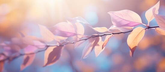 A beautiful close-up of a branch covered in green leaves with the sun shining through, creating a stunning natural glow - obrazy, fototapety, plakaty