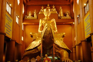 statue of buddha, LUANGPULIU, LuangPU LIU,wat rai tang tong,hai temple, temple , thai, turtle,thai buddha - obrazy, fototapety, plakaty