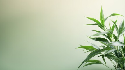 A flourishing green plant against a calming neutral gradient, backdrop for promoting environmental initiatives or sustainable practices, isolated leaves against green background