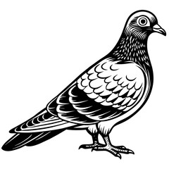 pigeon silhouette vector art illustration
