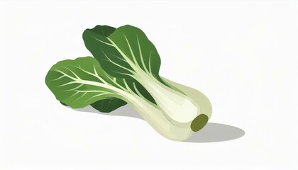 チンゲン菜　青梗菜