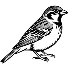 sparrow silhouette vector art illustration