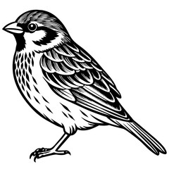 sparrow silhouette vector art illustration