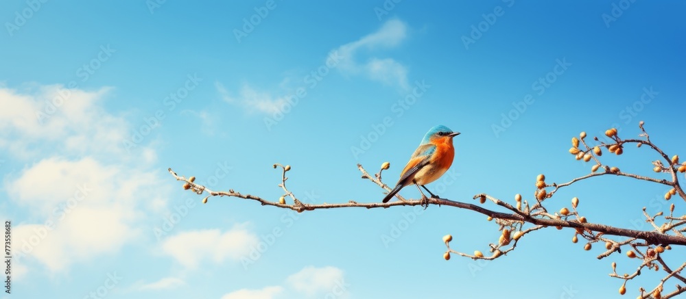 Poster a tiny bird is resting on a slender branch of a green tree in a peaceful natural setting