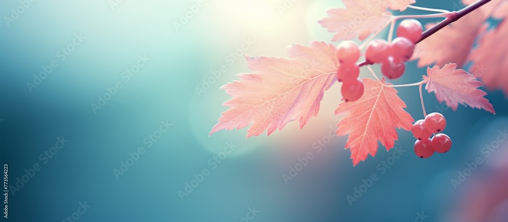 Poster the image features a single branch adorned with vibrant red berries set against a softly blurred bac