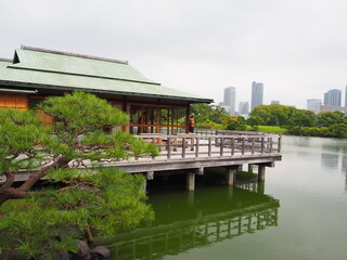 Fototapeta na wymiar hama-rikyu gardens, these former imperial and shogunate gardens are a lesser-known oasis in the middle of the metropolis
