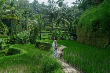Balanise woman in the Tegallalang Rice Fields near Ubud, Bali, Indonesia.