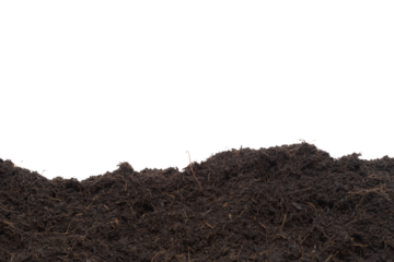 Black Fertilize Soil ready to planting, good organic soils with root for garden farming, pile set texture detail of soil with roots dust dirty.  close up selective focus over White background Isolated