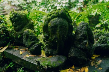 Rock statue faces covered in plants. Ubud, Bali, Indonesia.
