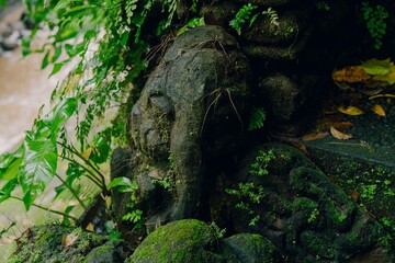 Rock statue face of Ganesh elephant with plants surrounding it. Ubud, Bali, Indonesia.