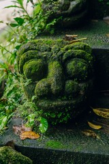 Rock statue faces covered in plants. Ubud, Bali, Indonesia.