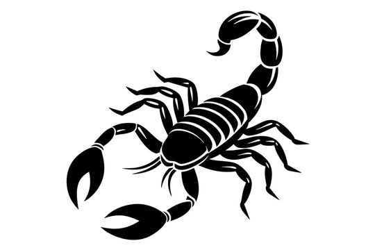 scorpion silhouette vector illustration