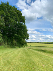 Fototapeta na wymiar English countryside with fields