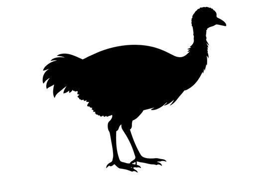 recommend clip art: mauritius dodo silhouette vector illustration