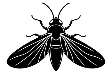 firefly silhouette vector illustration