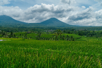 Fields and hills of the Jatiluwih Rice Terraces, Jatiluwih, Bali, Indonesia.