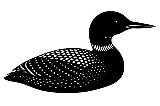 recommend clip art: loon silhouette vector illustration