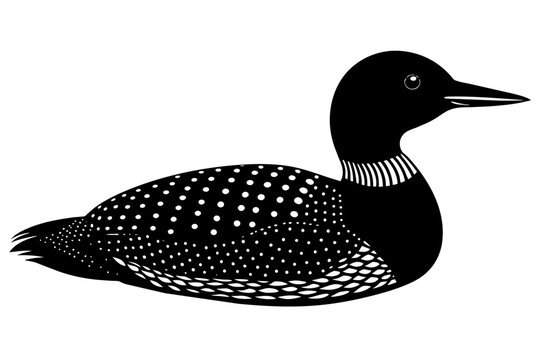 recommend clip art: loon silhouette vector illustration