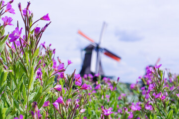 オランダの代表的な風景