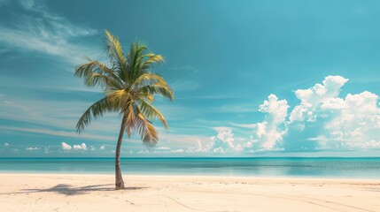 The serene scene of beach sand and a blue summer sky unfolds, inviting panoramic views of a tranquil tropical landscape