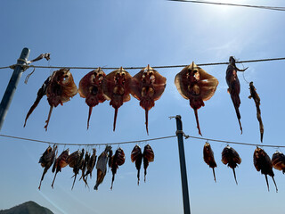 가오리 말리는 중 © Ahong